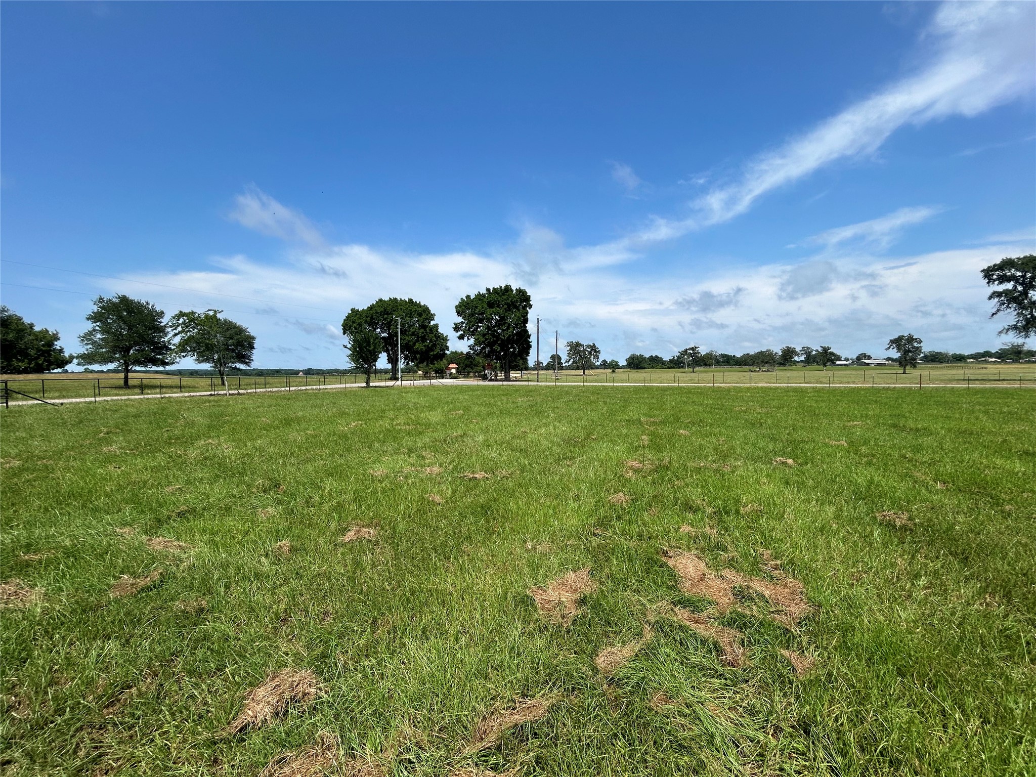 38645 Wiggins Road Hempstead, TX 77445 - Photo 6 of 18 a view of a big yard with a large trees and a big yard