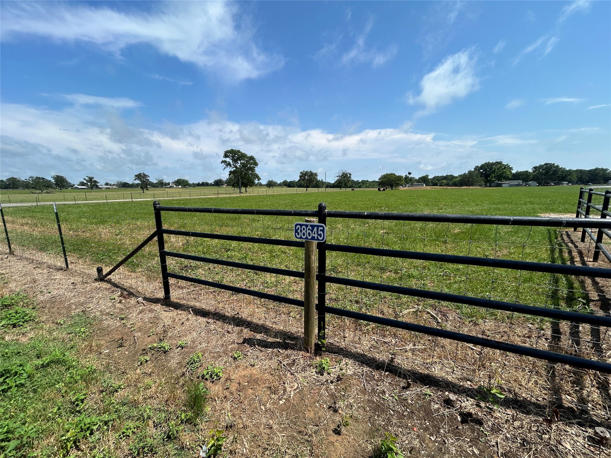 38645 Wiggins Road Hempstead, TX 77445 - Photo 7 of 18 a view of park with lake view