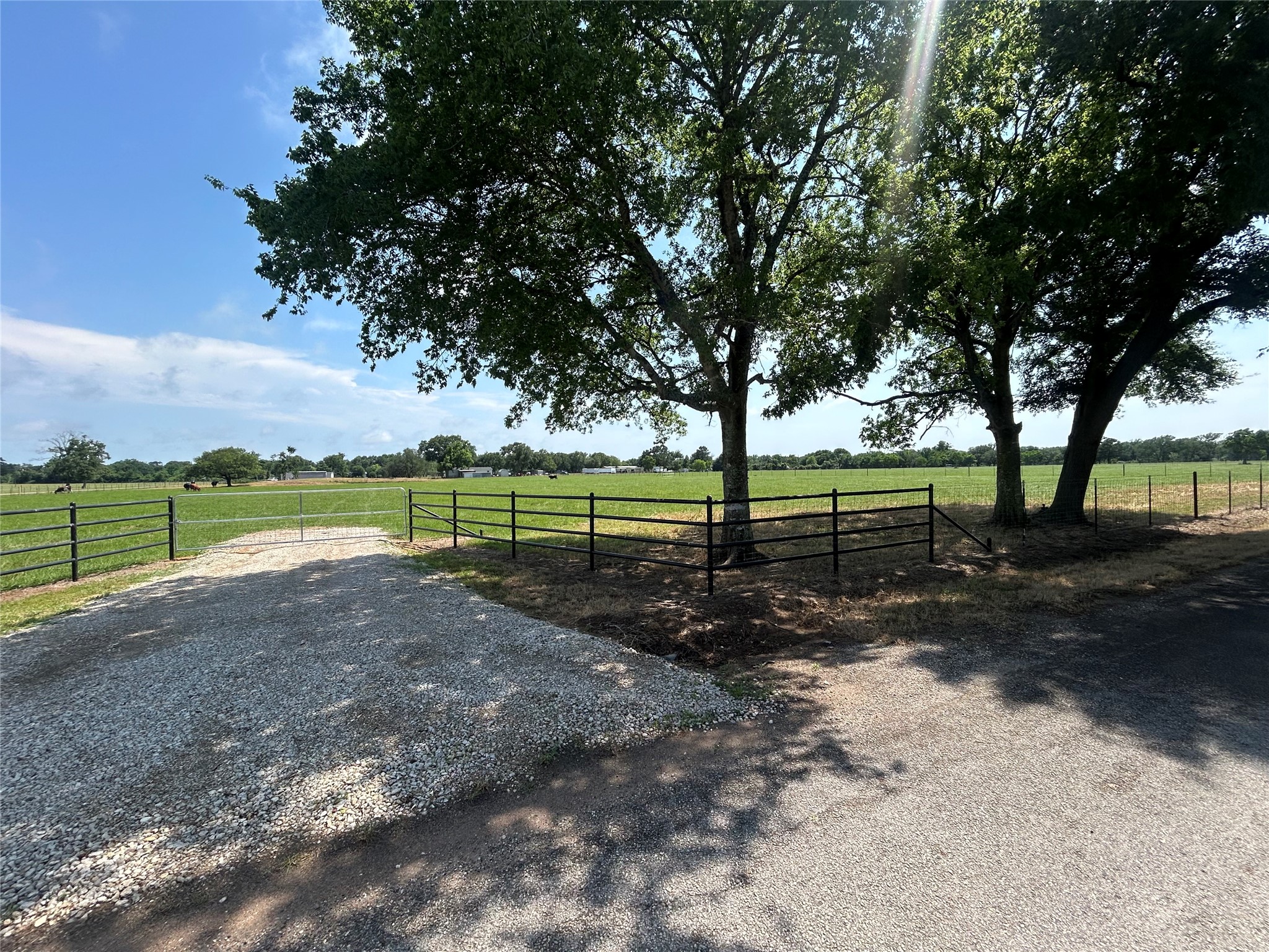 38645 Wiggins Road Hempstead, TX 77445 - Photo 9 of 18 a view of a park