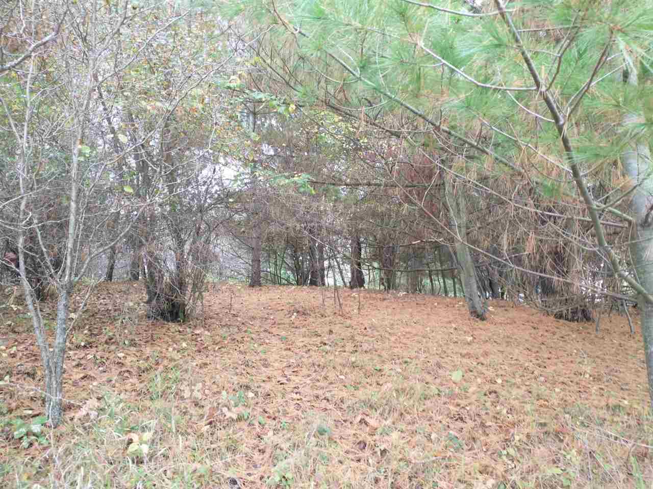 Lot 263 Islanders Way Gladwin, MI 48624 - Photo 4 of 14