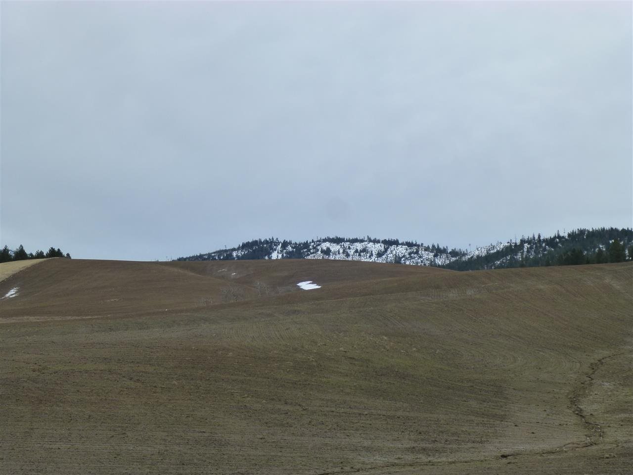0 South Jackson Road Mica, WA 99023 - Photo 1 of 4