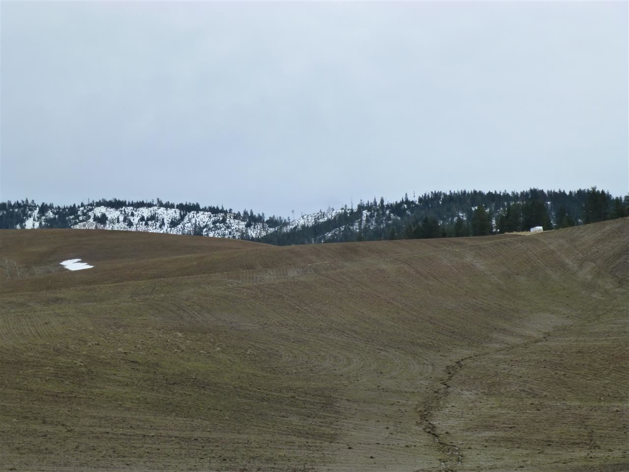 0 South Jackson Road Mica, WA 99023 - Photo 2 of 4
