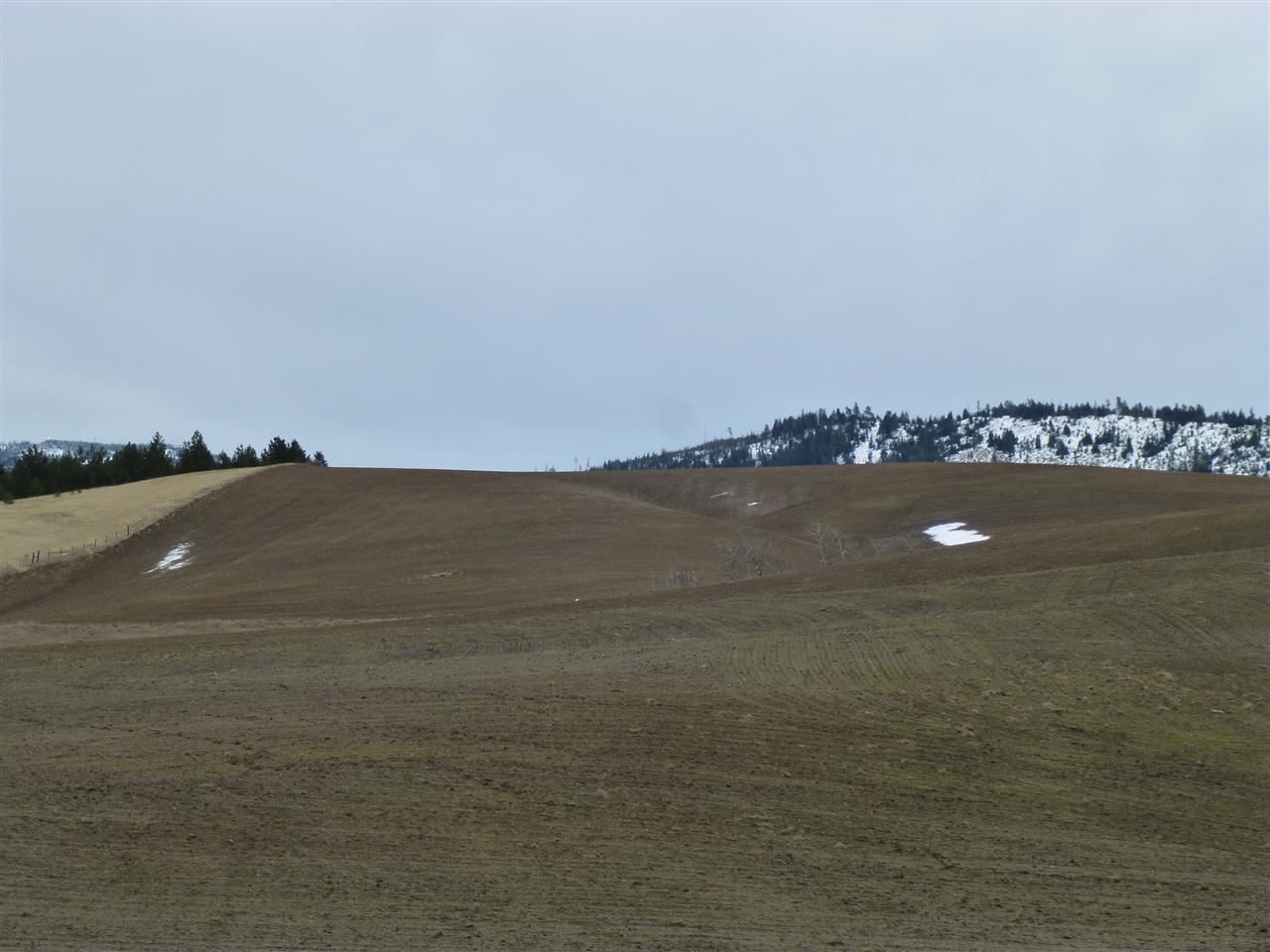 0 South Jackson Road Mica, WA 99023 - Photo 4 of 4