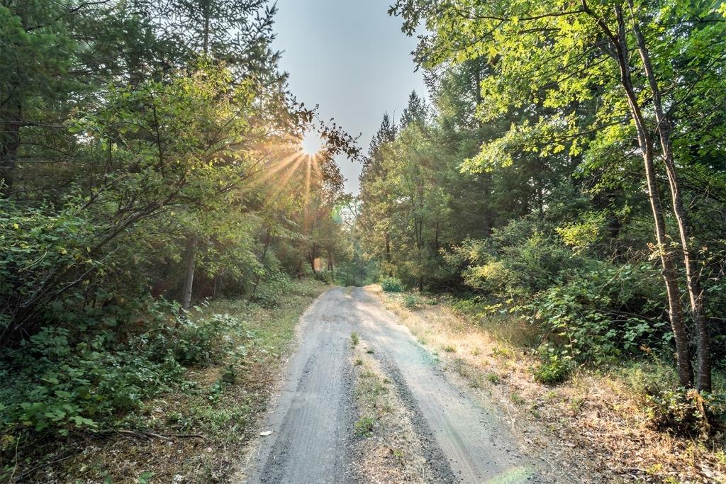 6123 Takilma Road Cave Junction, OR 97523 - Photo 29 of 31 Additional Photo