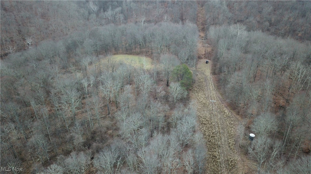 Brown Peavine Road Alledonia, OH 43902 - Photo 12 of 50