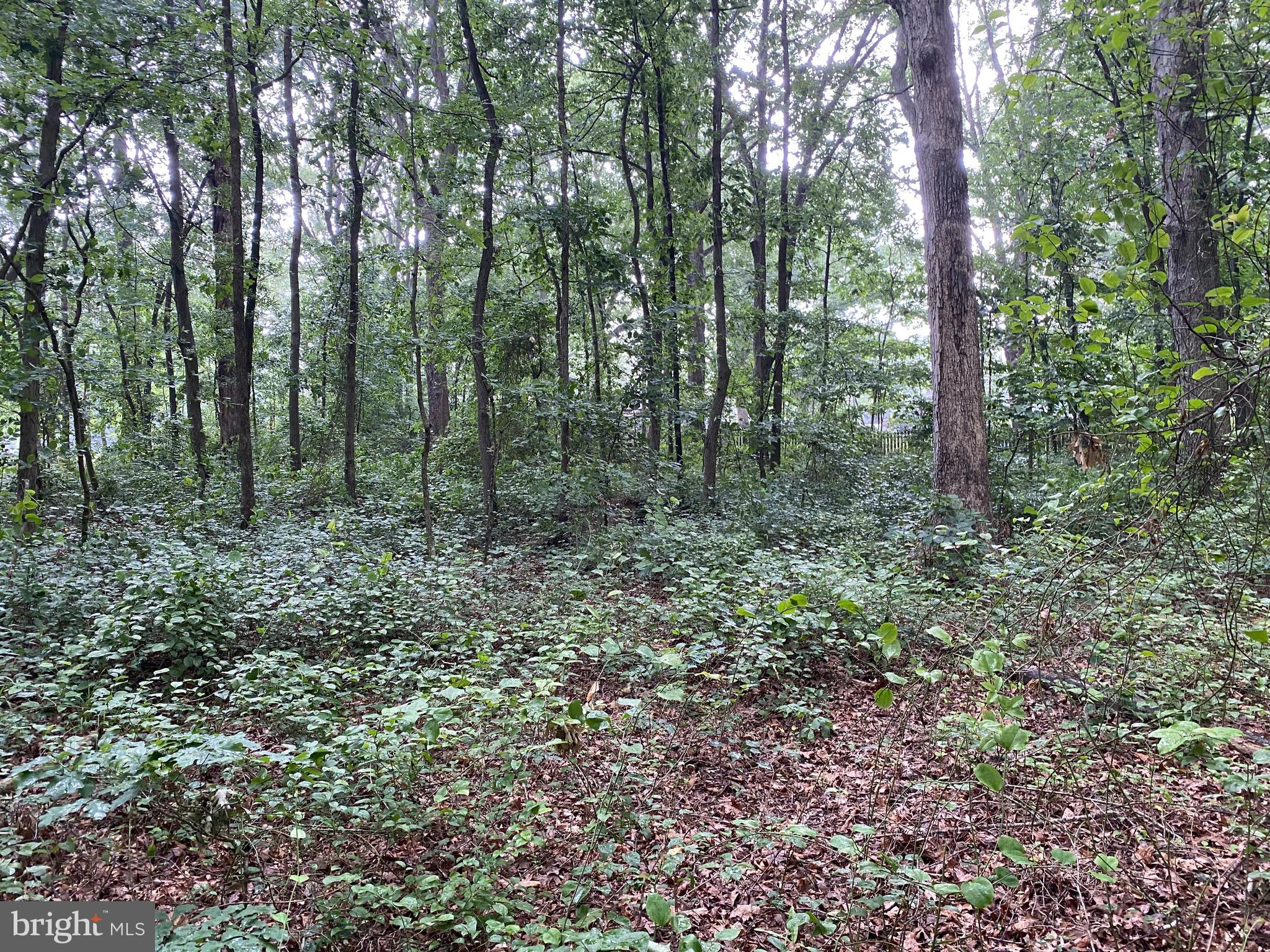 11852 Cherry Road Fredericksburg, VA 22407 - Photo 11 of 15