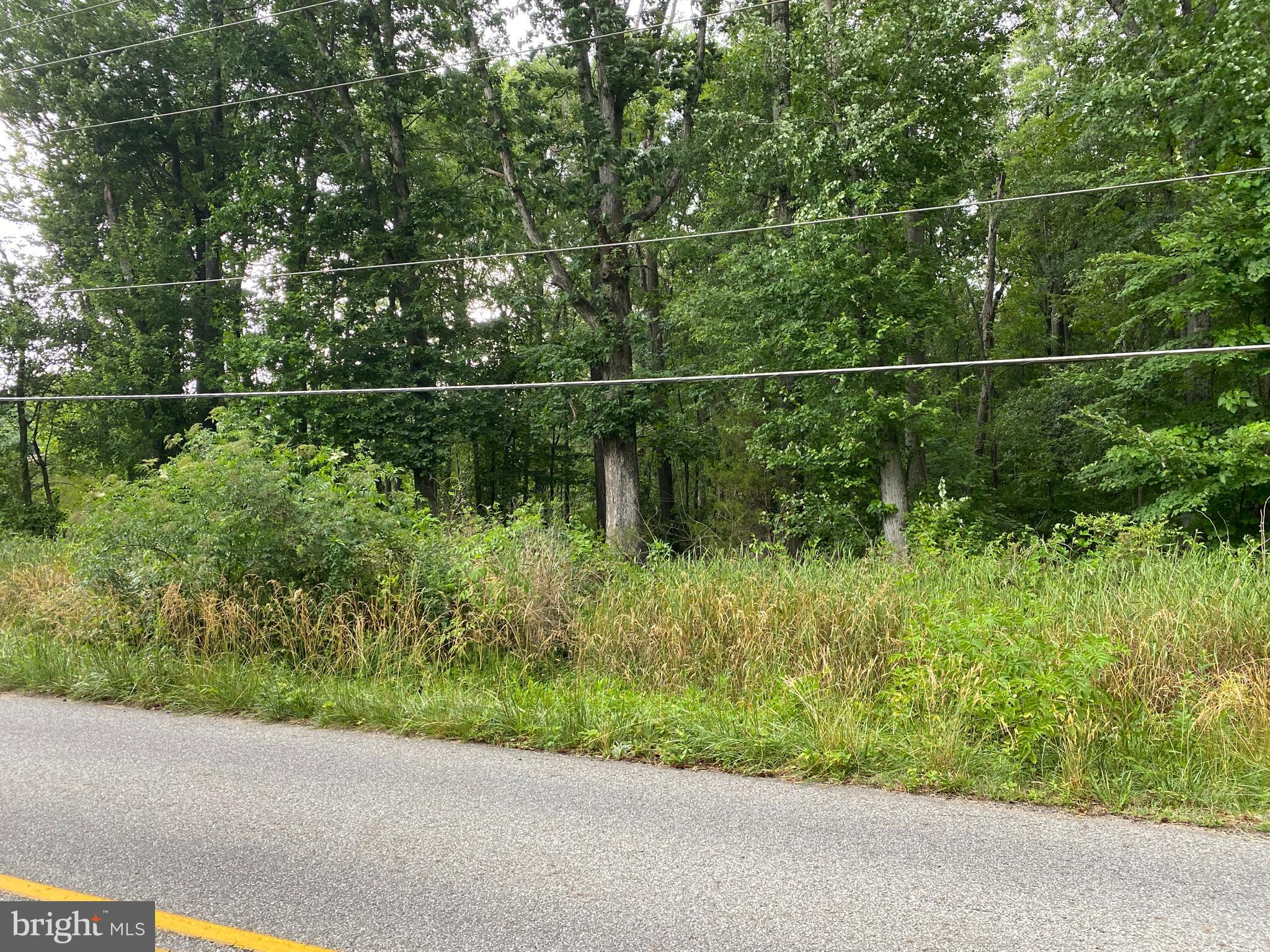 11852 Cherry Road Fredericksburg, VA 22407 - Photo 2 of 15