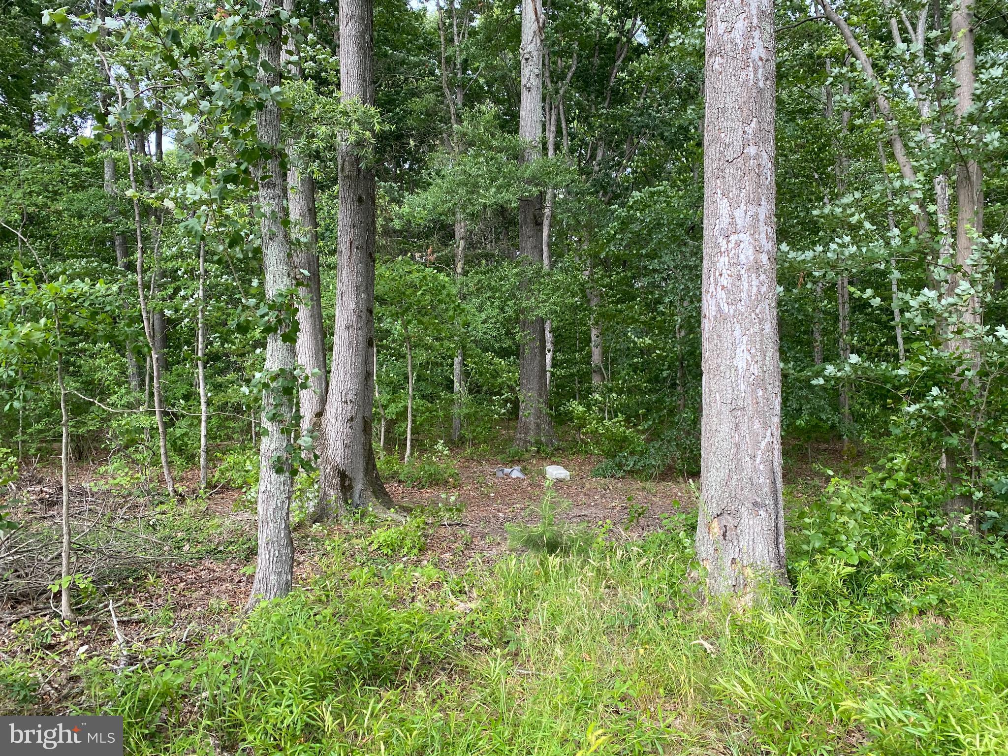 11852 Cherry Road Fredericksburg, VA 22407 - Photo 5 of 15