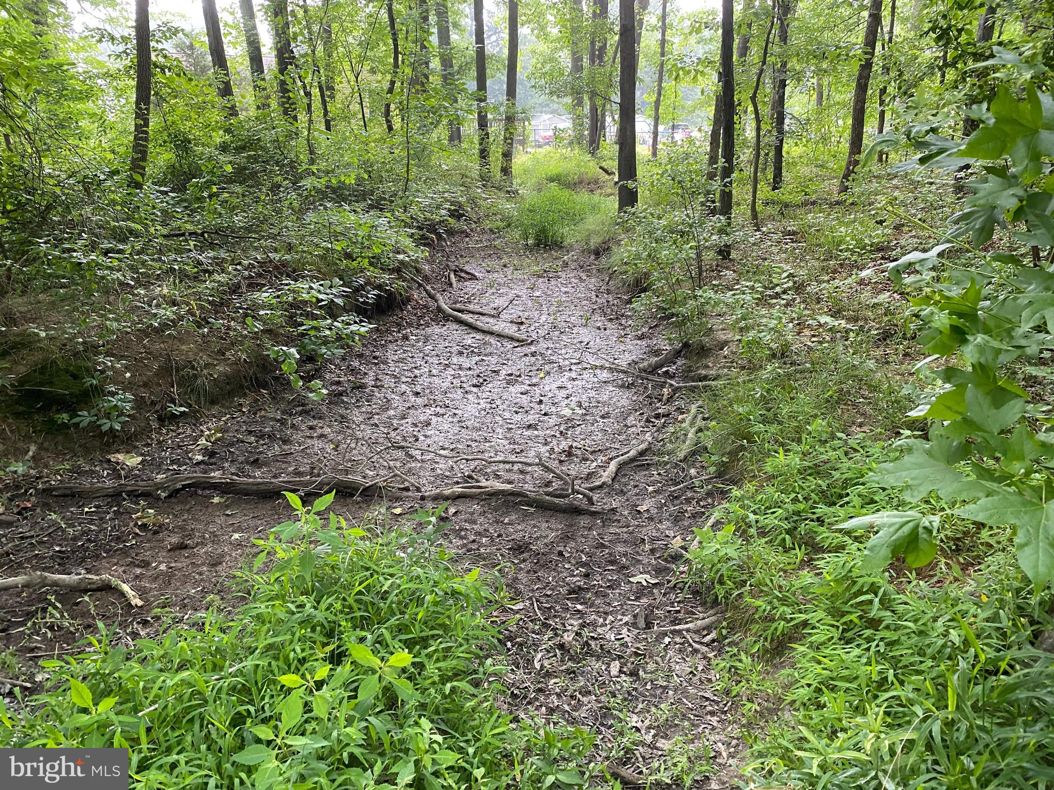 11852 Cherry Road Fredericksburg, VA 22407 - Photo 7 of 15