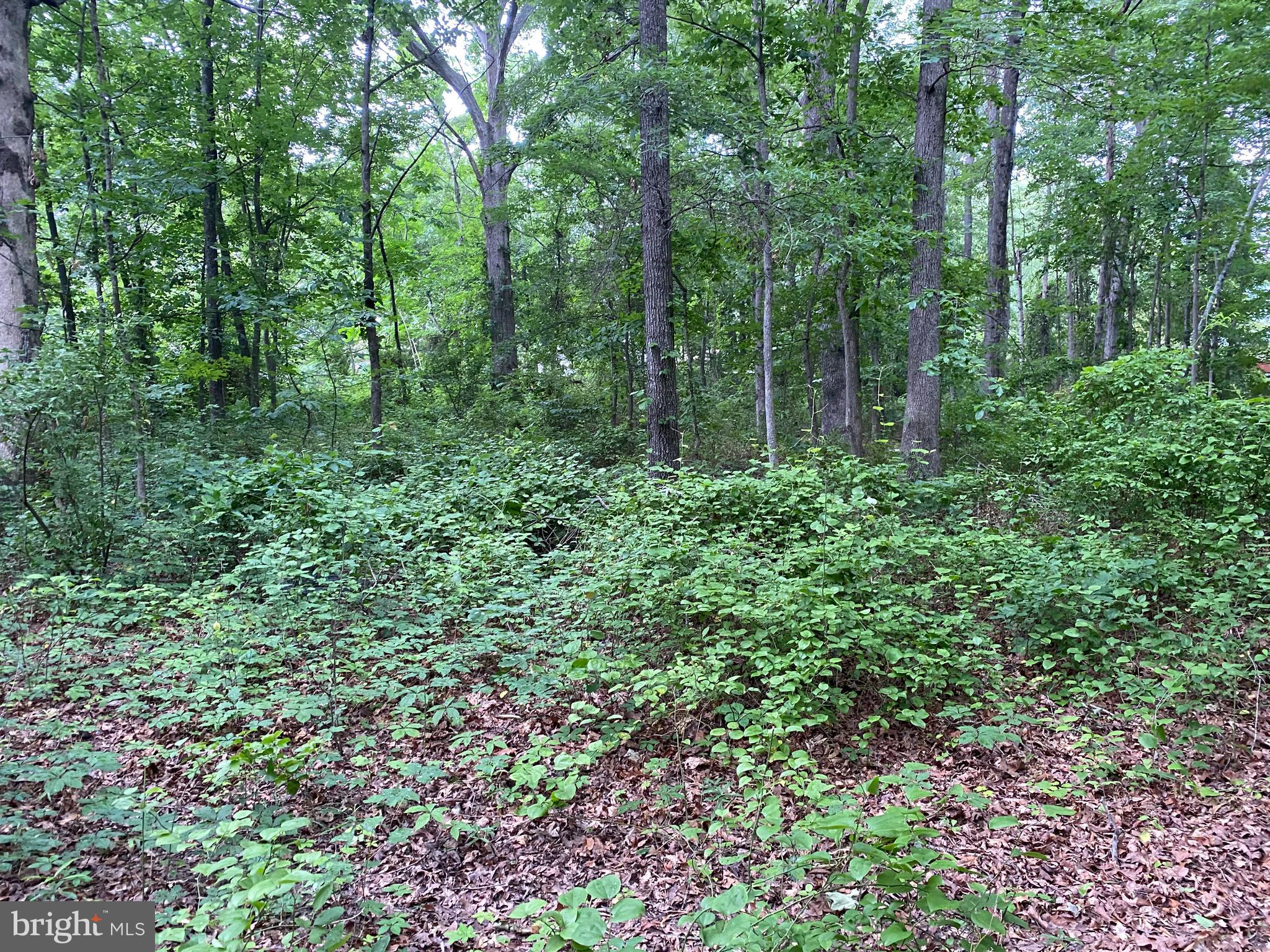 11852 Cherry Road Fredericksburg, VA 22407 - Photo 10 of 15