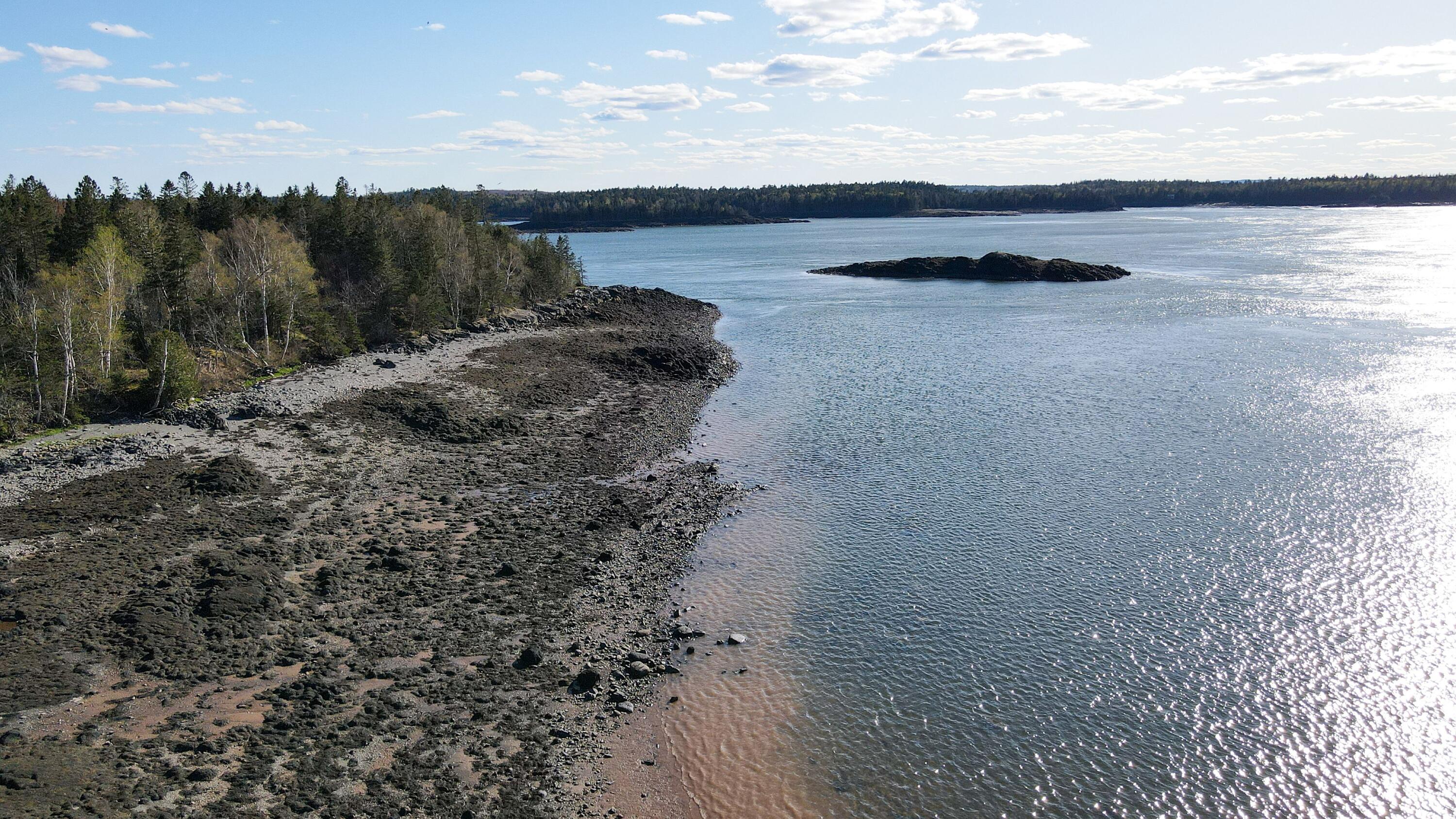 1058 Straight Bay Road Lubec, ME 04652 - Photo 10 of 81 1058 STRAIGHT BAY ROAD NORTH SHORE 2
