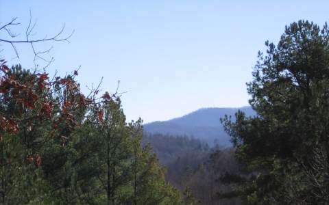 1 George Curtis Road Blue Ridge, GA 30513 - Photo 1 of 1 Main View