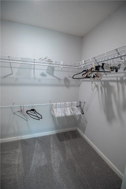 1643 Abby Road Auburn, AL 36830 - Photo 47 of 49 Gallery Image 47