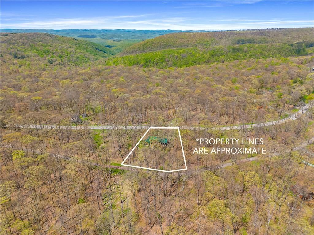 706 Laurel Summit Road Boswell, PA 15531 - Photo 44 of 49 Gallery Image 44