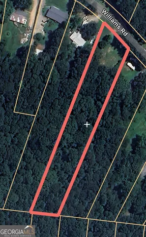 a view of outdoor space with plants