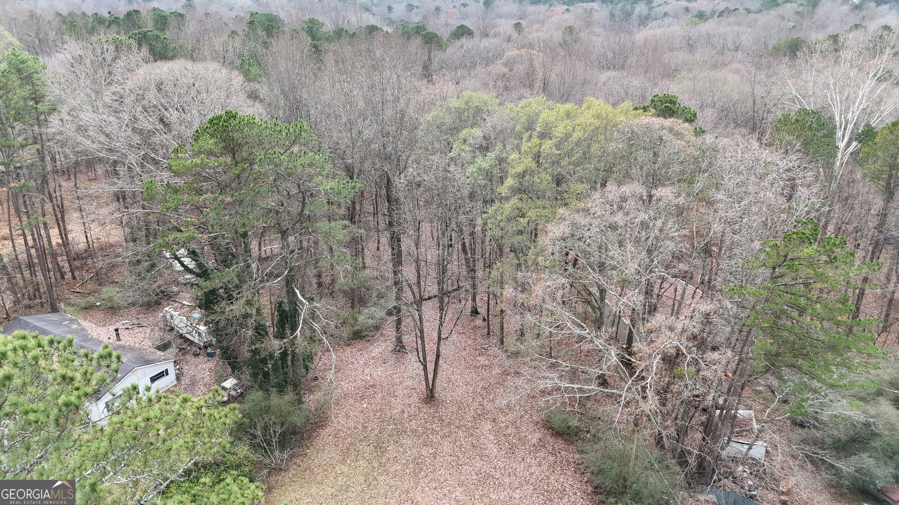 7307 Williams Street Flowery Branch, GA 30542 - Photo 11 of 33 a view of a forest with trees and houses