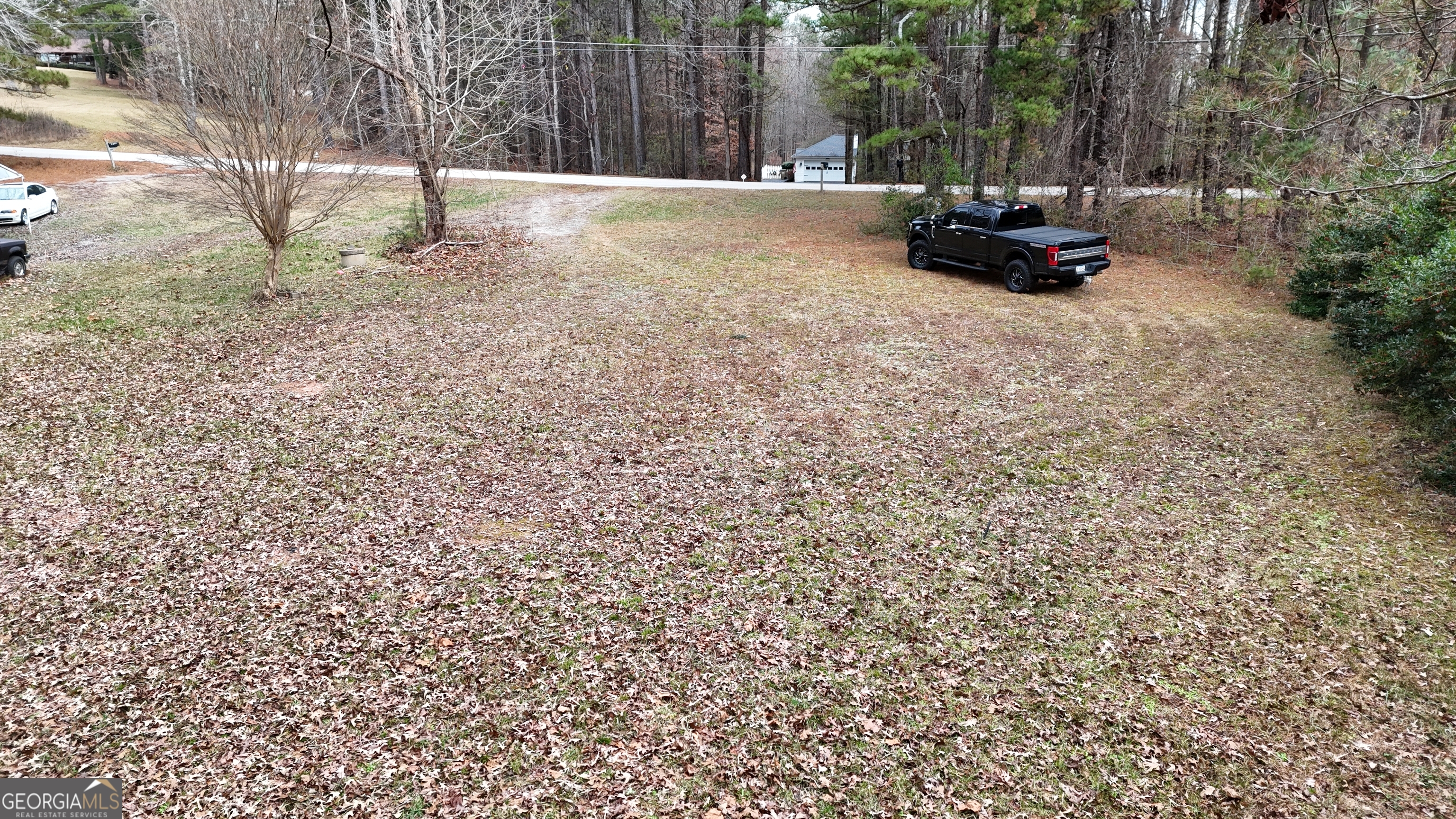 7307 Williams Street Flowery Branch, GA 30542 - Photo 17 of 33 a view of backyard with parked car