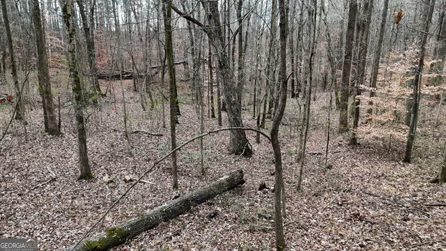 a view of a backyard with pathway