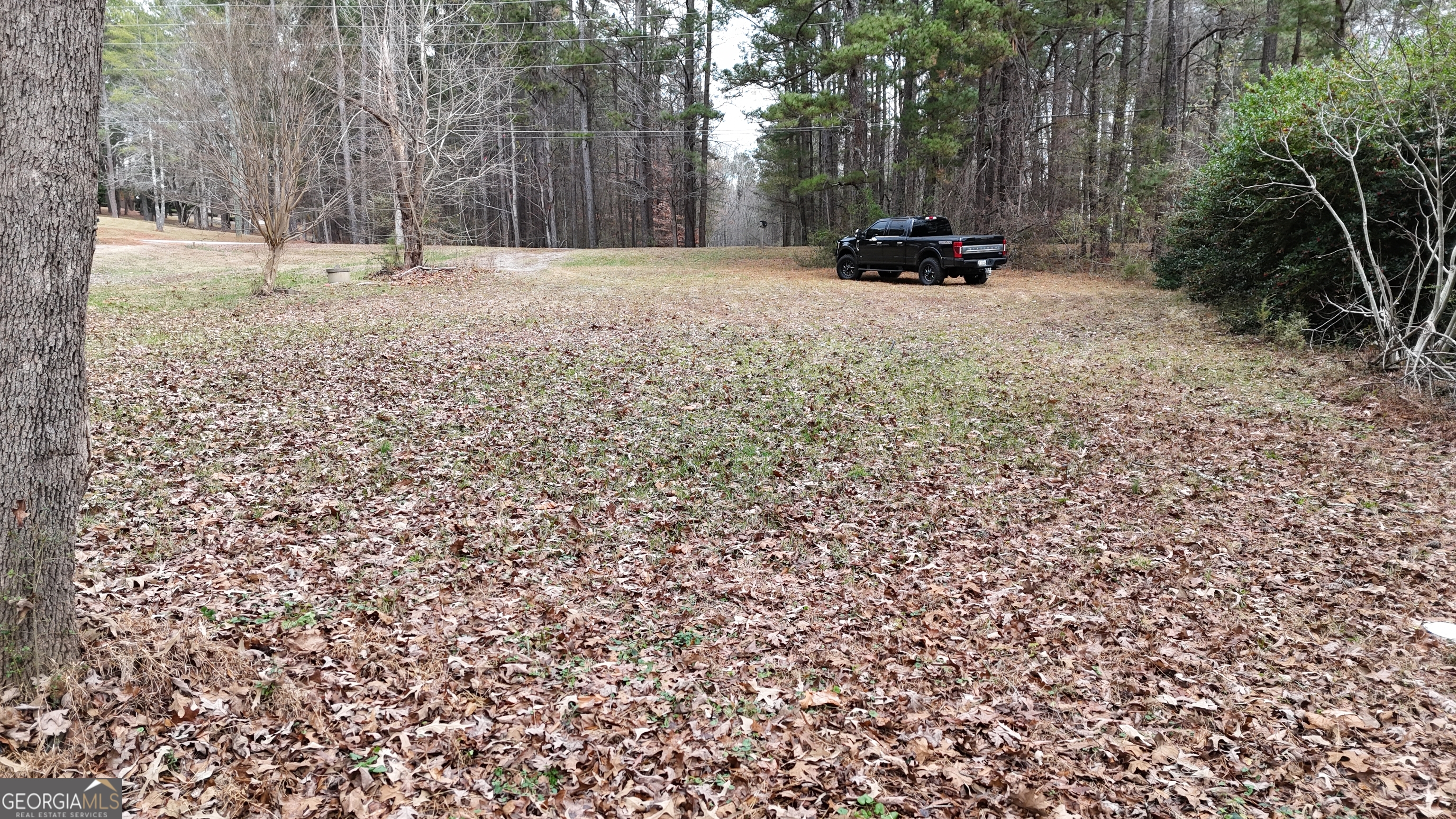 7307 Williams Street Flowery Branch, GA 30542 - Photo 20 of 33 a backyard of a house with a trees