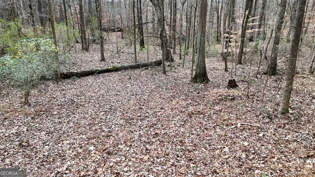 an aerial view of residential house with outdoor space