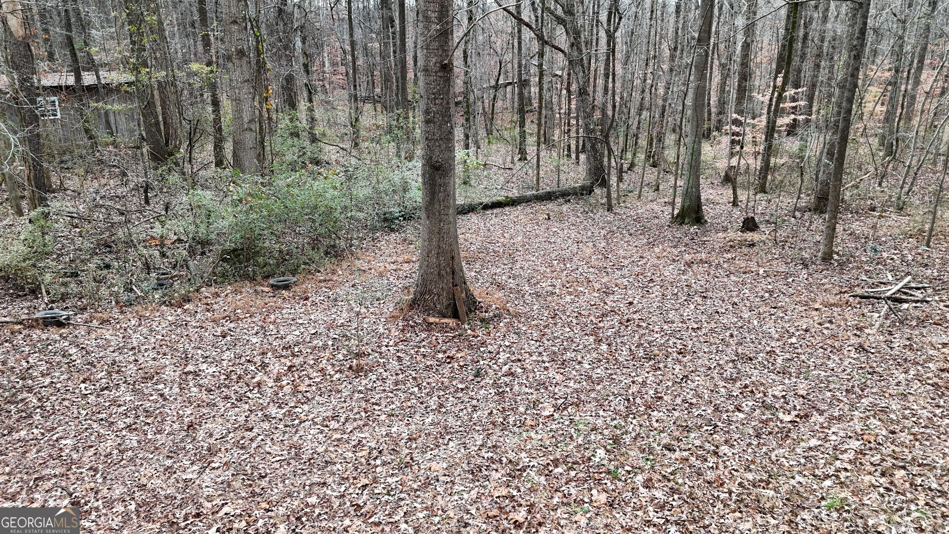 7307 Williams Street Flowery Branch, GA 30542 - Photo 23 of 33