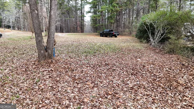 a view of a yard with trees