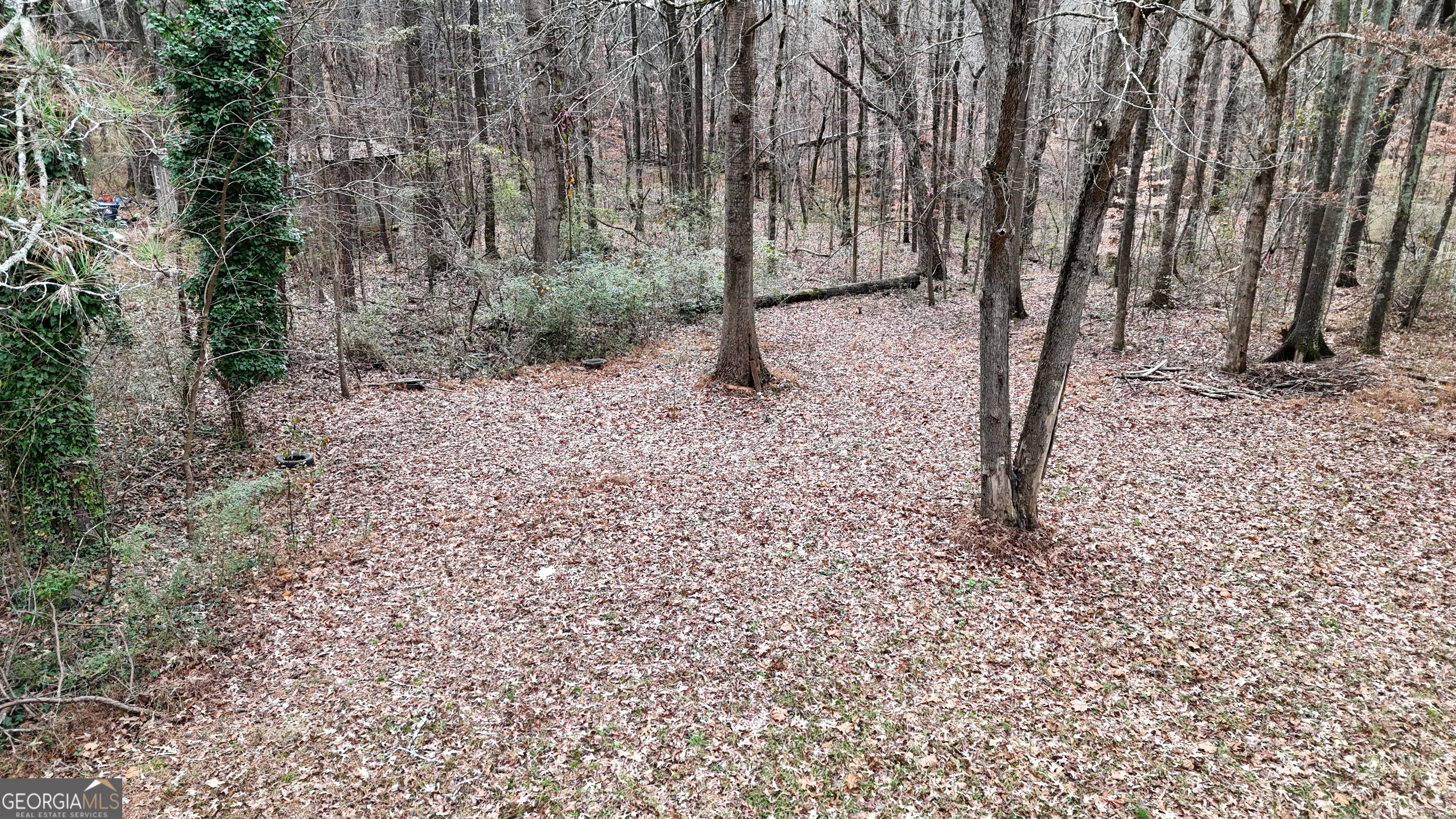 7307 Williams Street Flowery Branch, GA 30542 - Photo 26 of 33 a backyard of a house with lots of green space