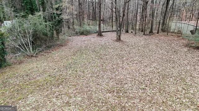 a view of a backyard