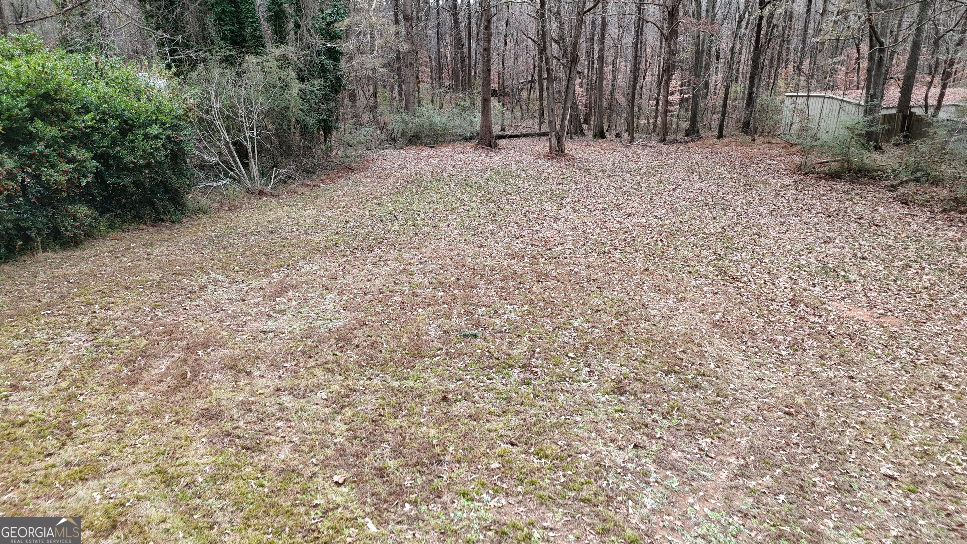 7307 Williams Street Flowery Branch, GA 30542 - Photo 28 of 33 a view of a yard with trees