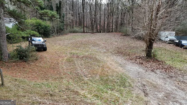 a view of a forest with trees