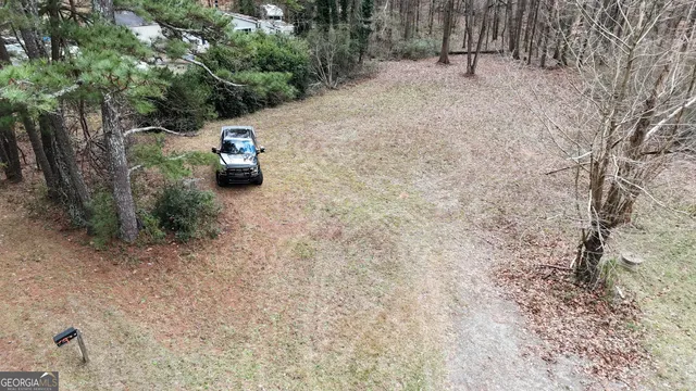 a view of a forest with trees and houses