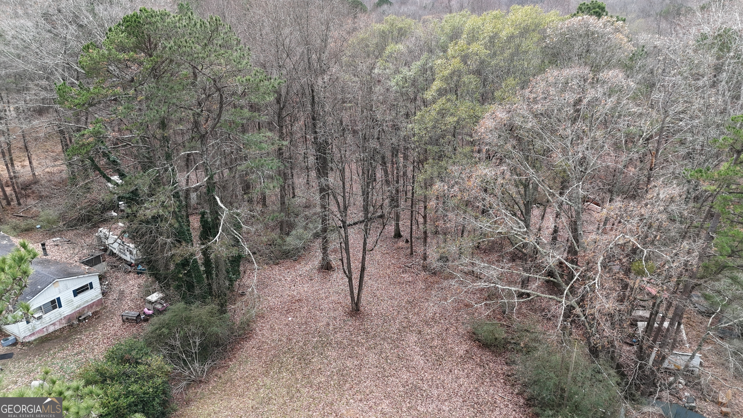 7307 Williams Street Flowery Branch, GA 30542 - Photo 10 of 33 a view of a forest with trees