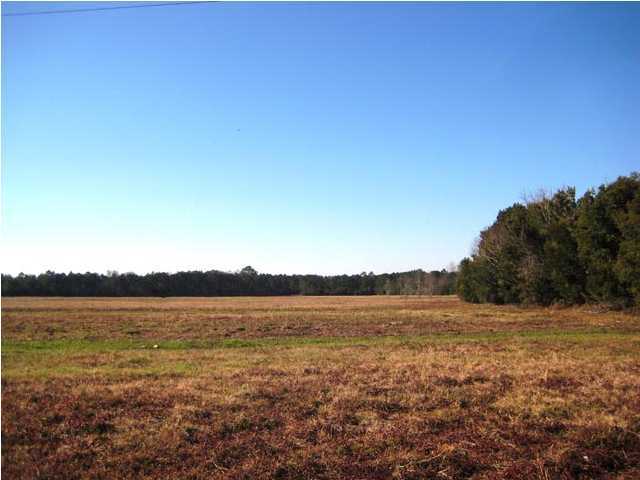 46 Josie Ridge Road Wadmalaw Island, SC 29487 - Photo 3 of 5 Additional Photo