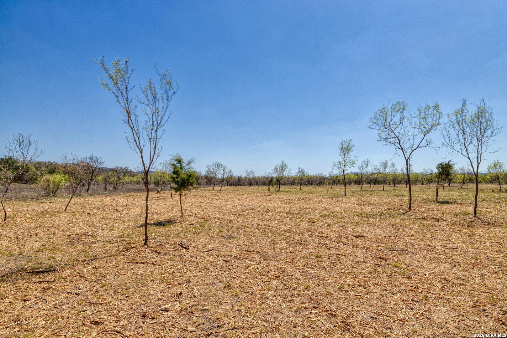164 Whitetail Way Rio Frio, TX 78879 - Photo 18 of 60