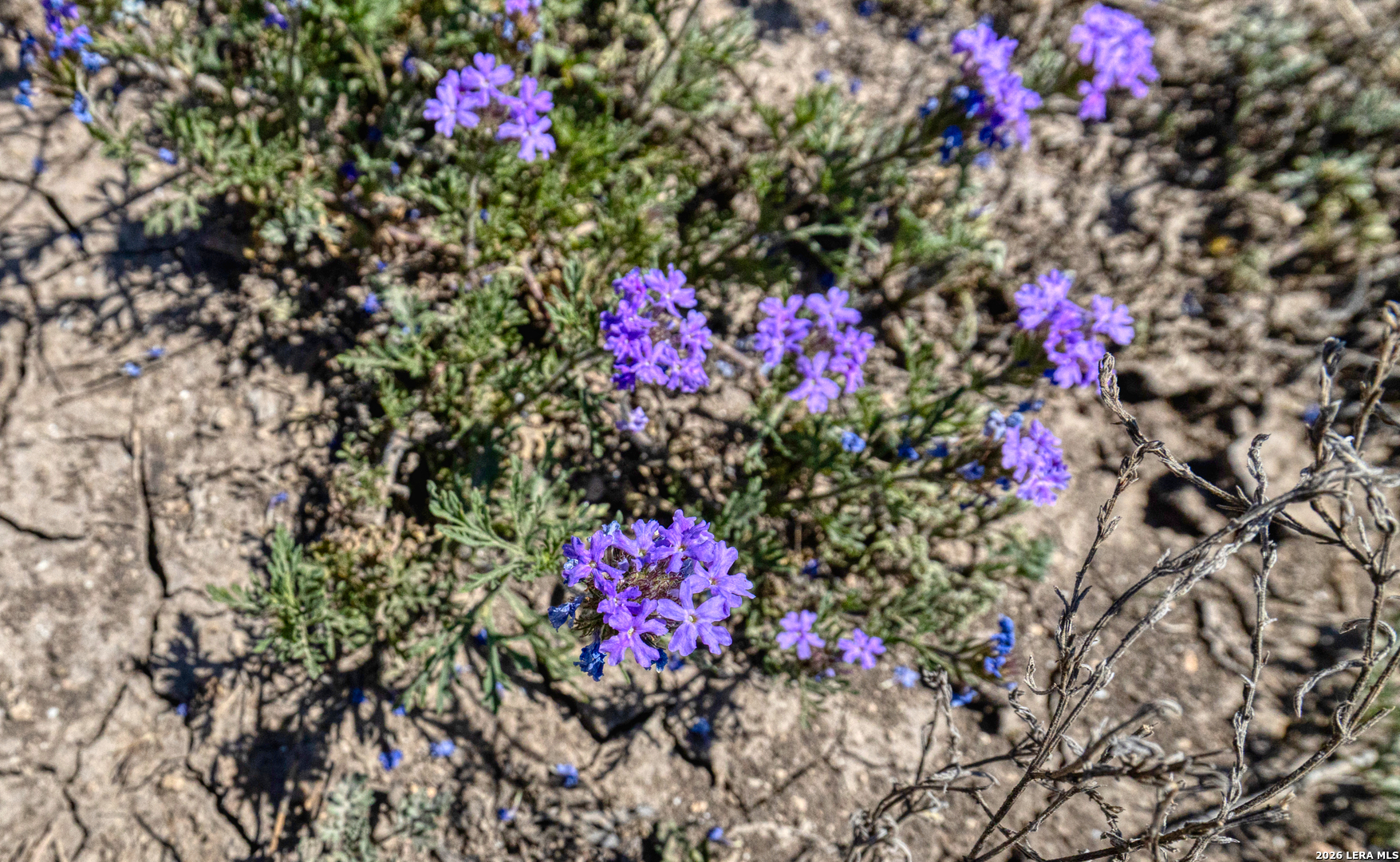 164 Whitetail Way Rio Frio, TX 78879 - Photo 20 of 60