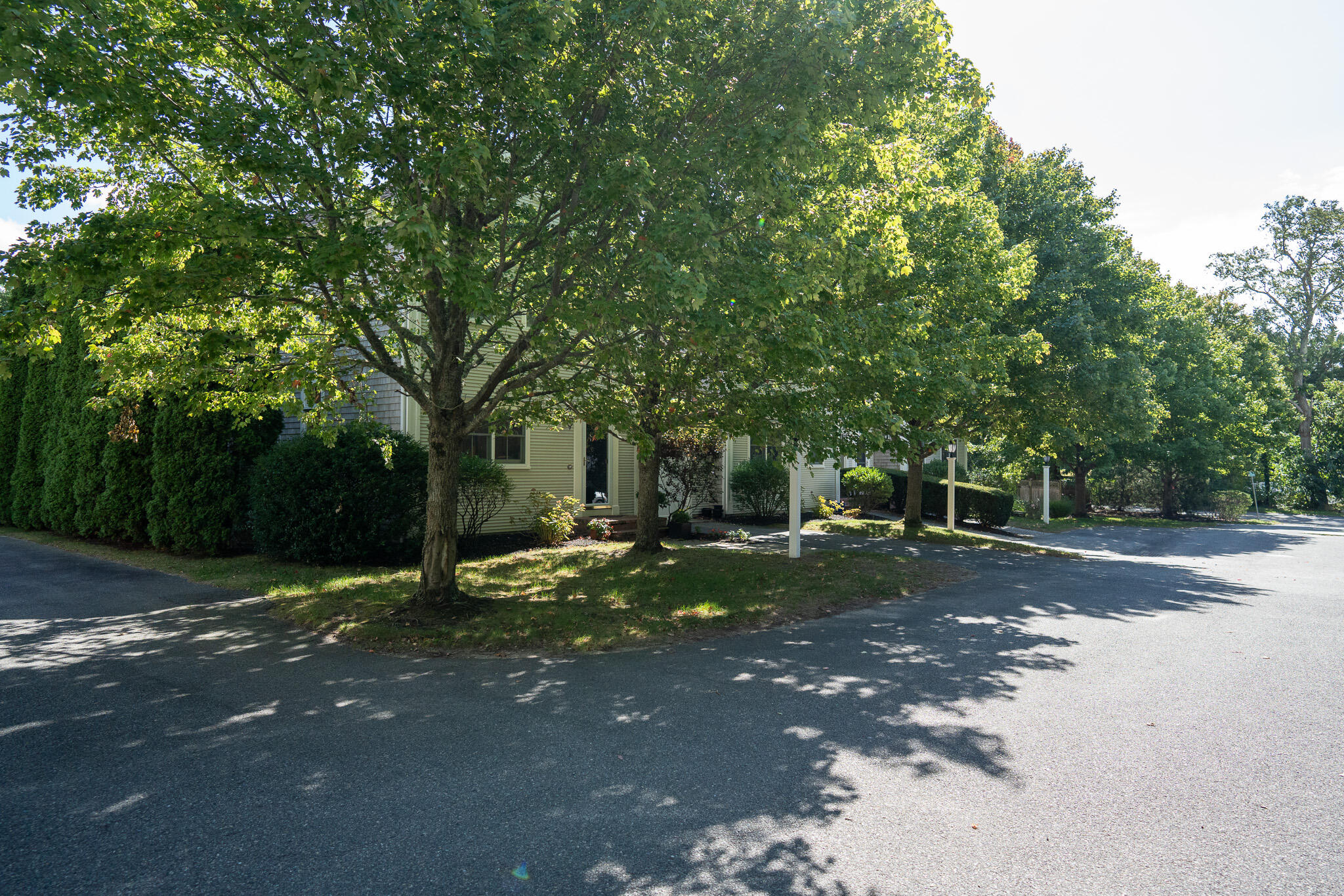 5 Barley Neck Road Orleans, MA 02653 - Photo 38 of 42 DSC06519