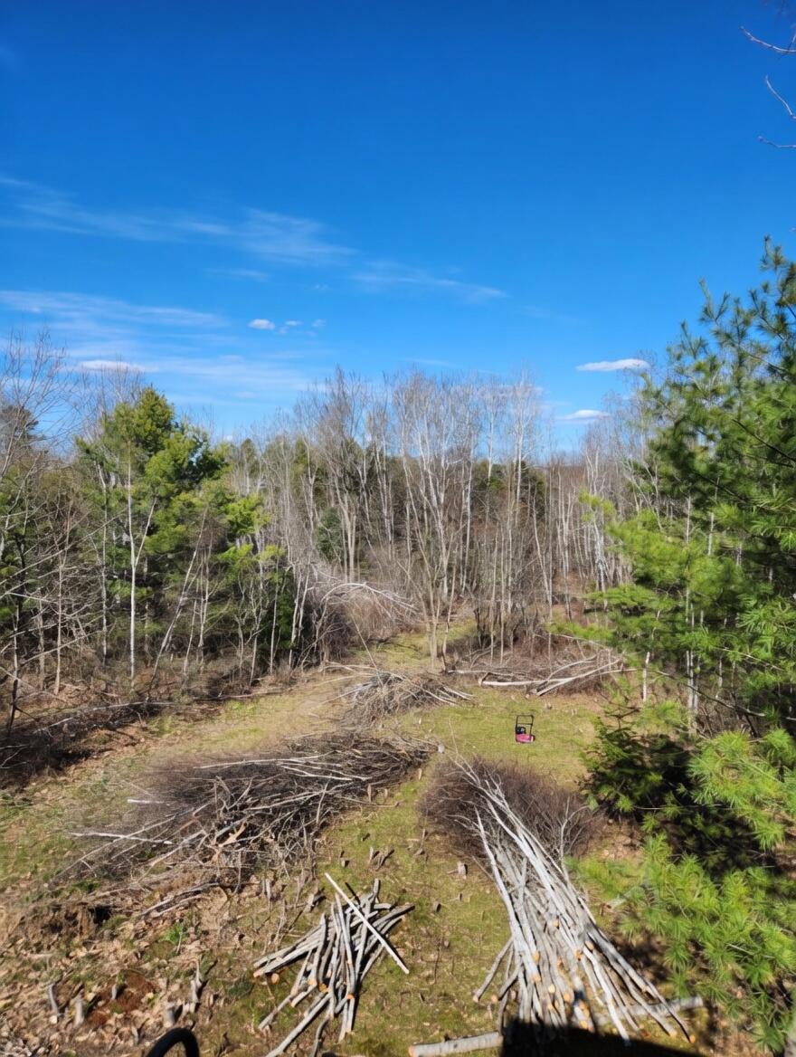 315 Golf Course Road Newport, ME 04953 - Photo 5 of 26