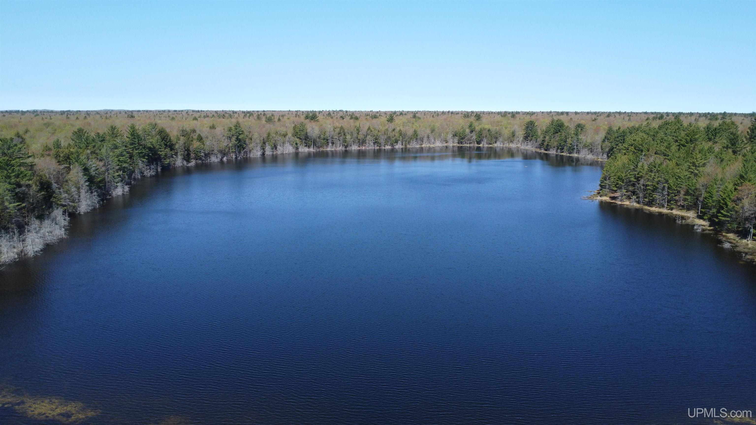 Off Adams Trail Shingleton, MI 49884 - Photo 3 of 46