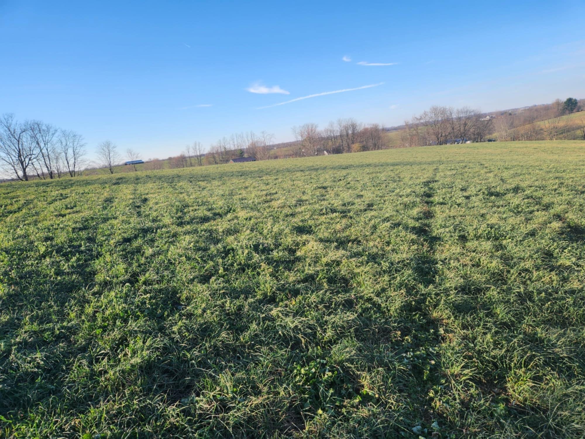 7370 Energy Road Ewing, KY 41039 - Photo 53 of 53 att.8GTsMKhHB4b5tc3AQKiZSAJlnpi-GzBhBMrP