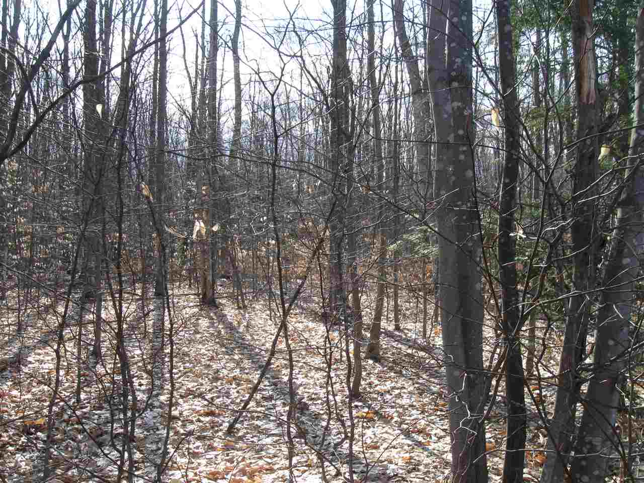 8633 Reynolds Road Traverse City, MI 49684 - Photo 21 of 21 1884995-21.JPG