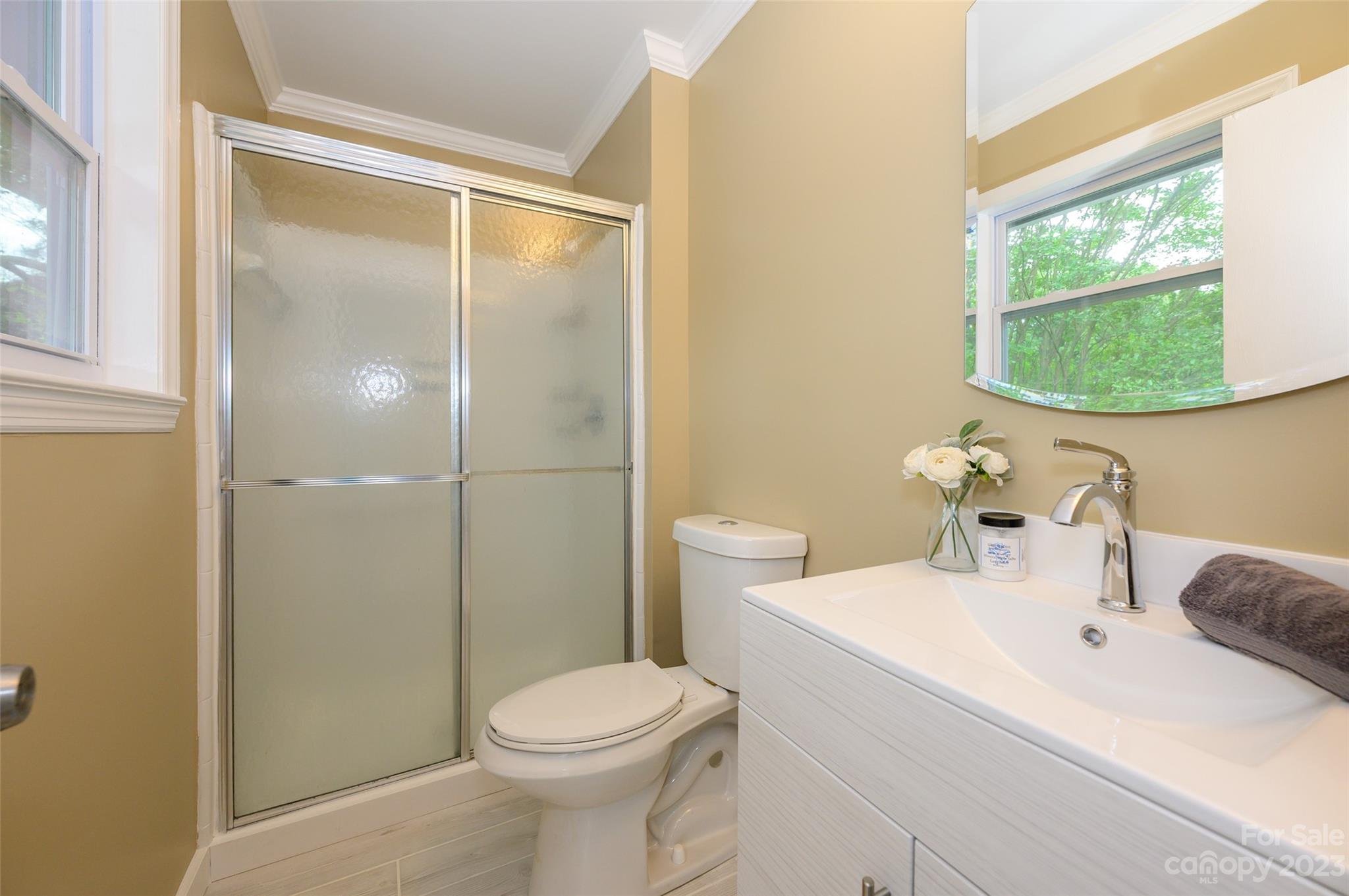 16079 Molokai Drive Tega Cay, SC 29708 - Photo 28 of 41 a bathroom with a sink and a mirror