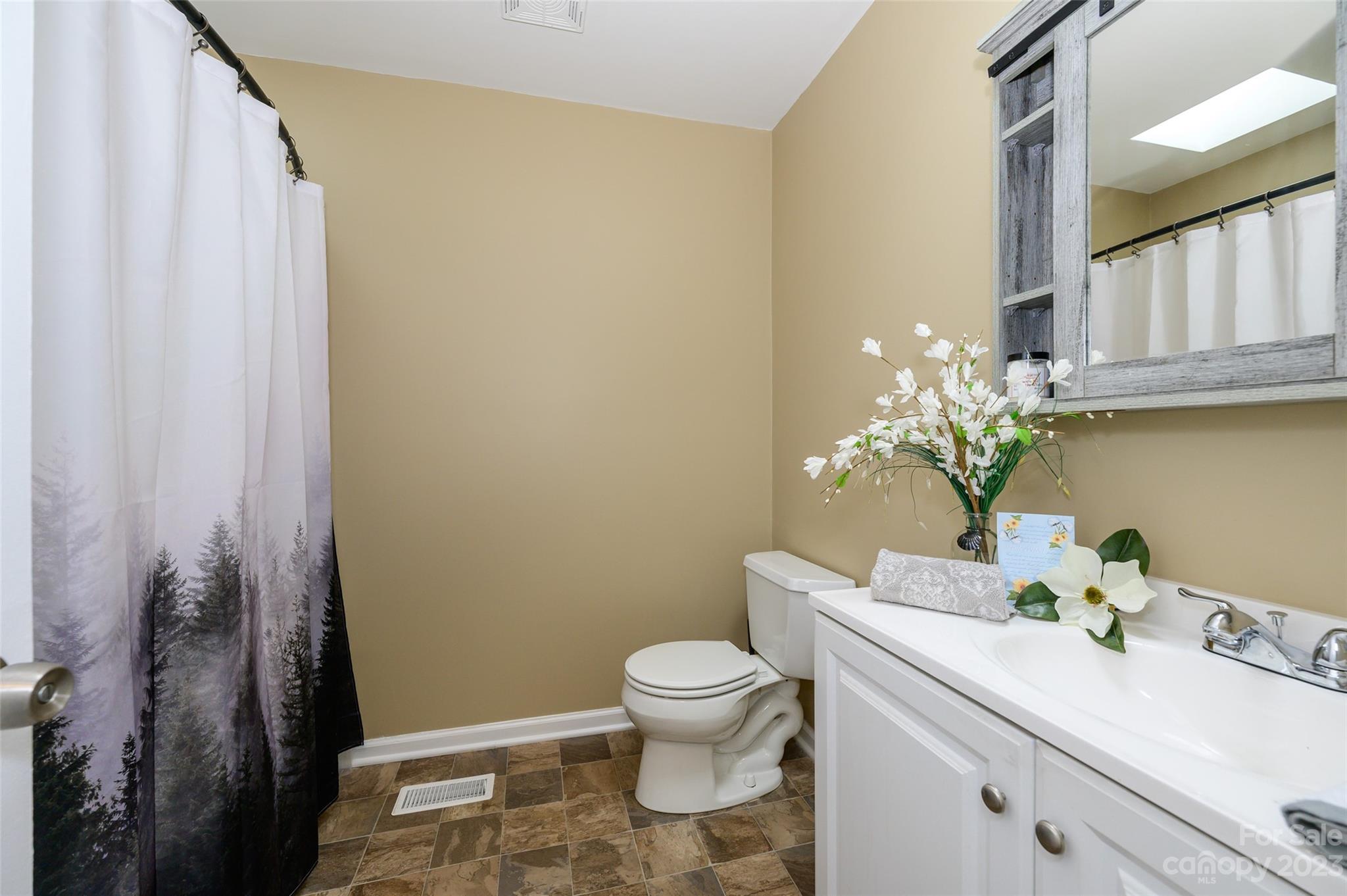 16079 Molokai Drive Tega Cay, SC 29708 - Photo 29 of 41 a bathroom with a sink a toilet and a mirror