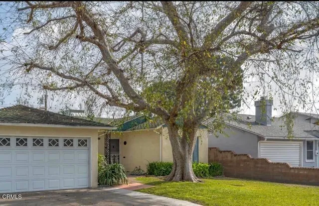 a tree in front of a white house