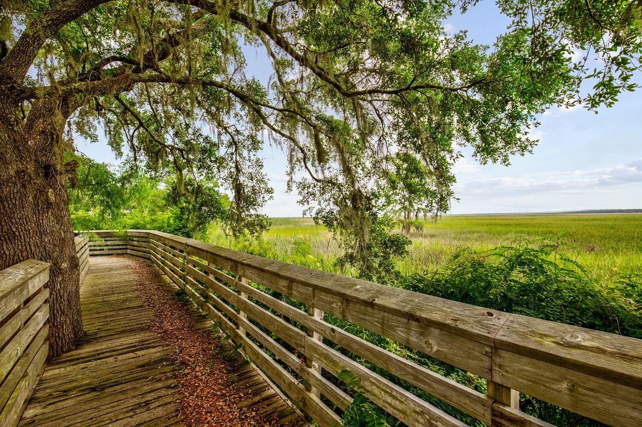 845 Commanders Island Road Georgetown, SC 29440 - Photo 49 of 52