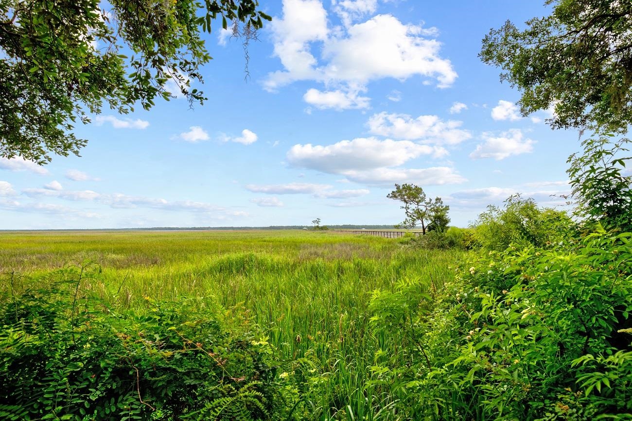 845 Commanders Island Road Georgetown, SC 29440 - Photo 50 of 52