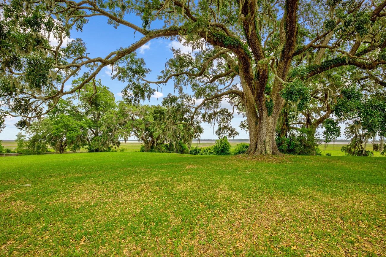 845 Commanders Island Road Georgetown, SC 29440 - Photo 51 of 52