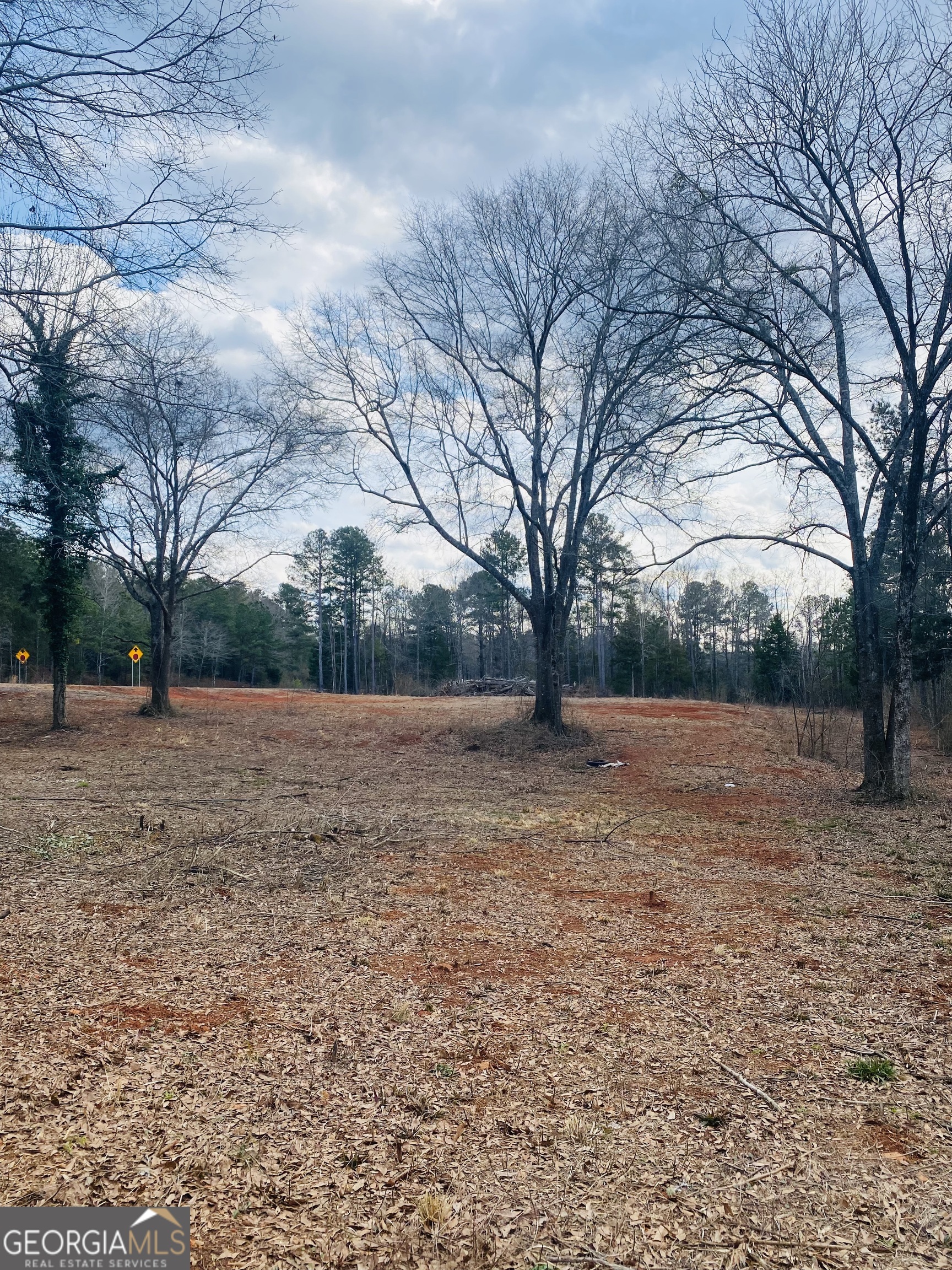 95 Knight Trail Thomaston, GA 30286 - Photo 11 of 14