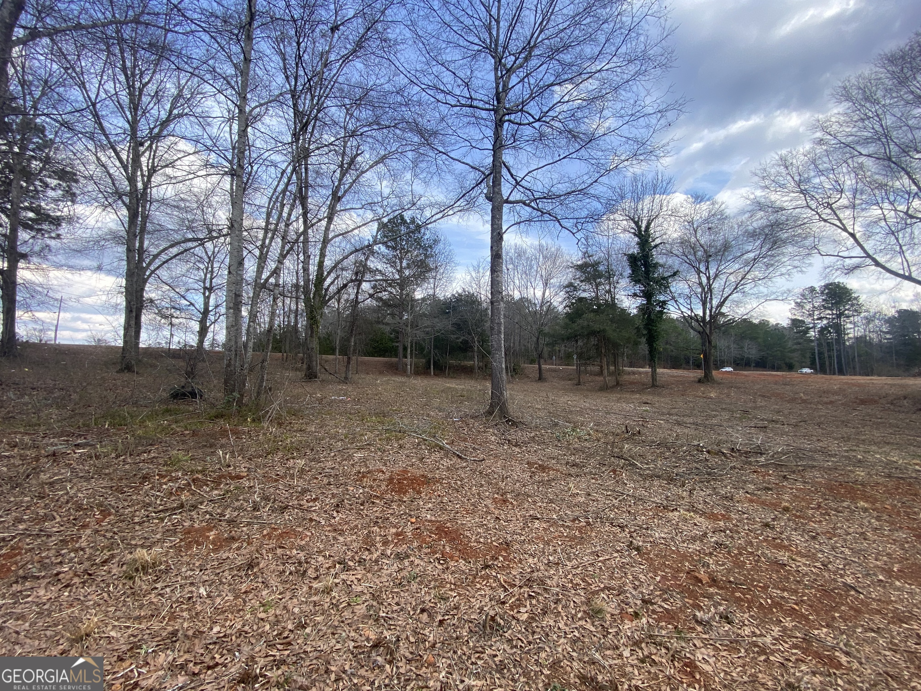 95 Knight Trail Thomaston, GA 30286 - Photo 12 of 14