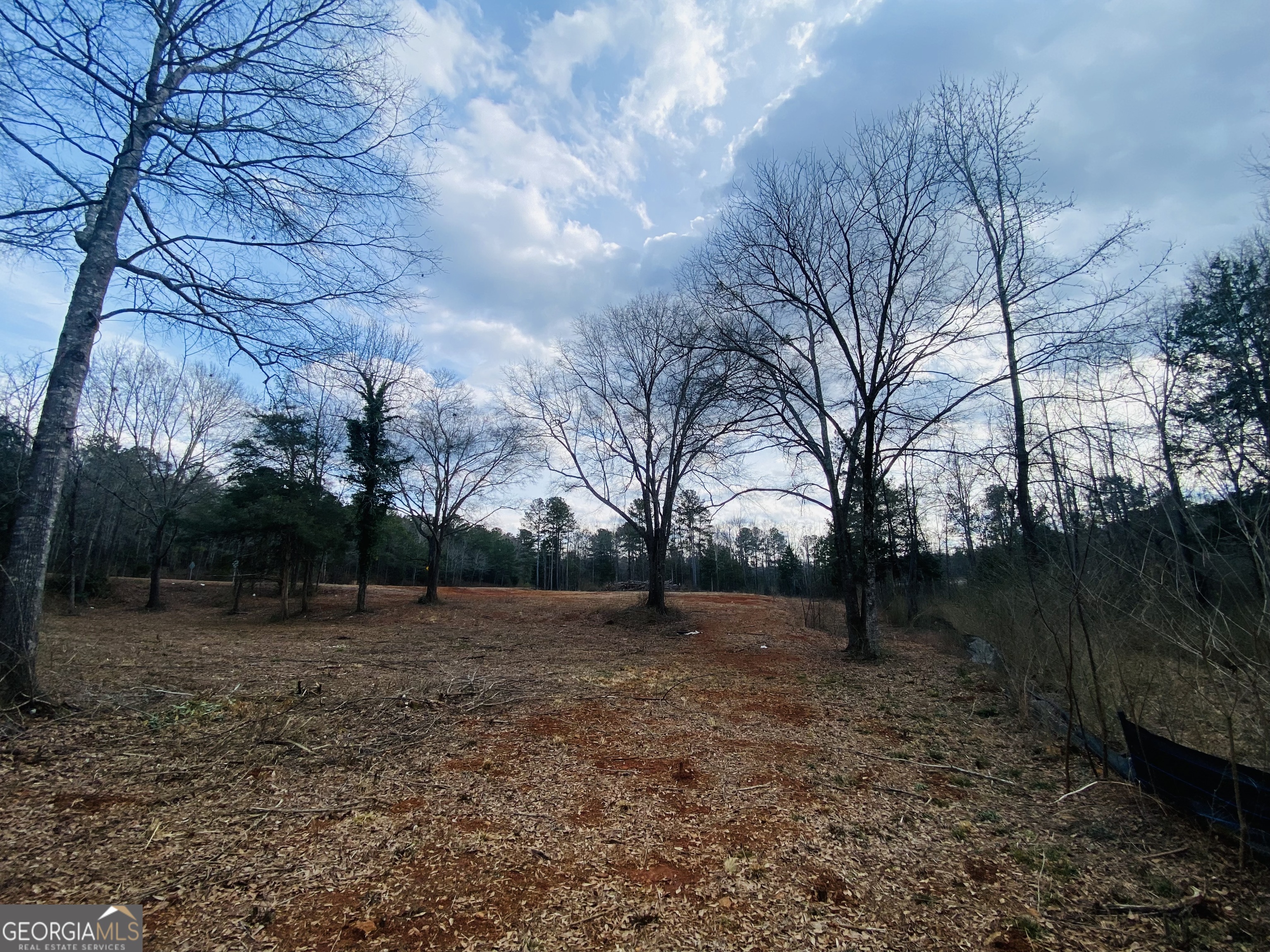 95 Knight Trail Thomaston, GA 30286 - Photo 13 of 14