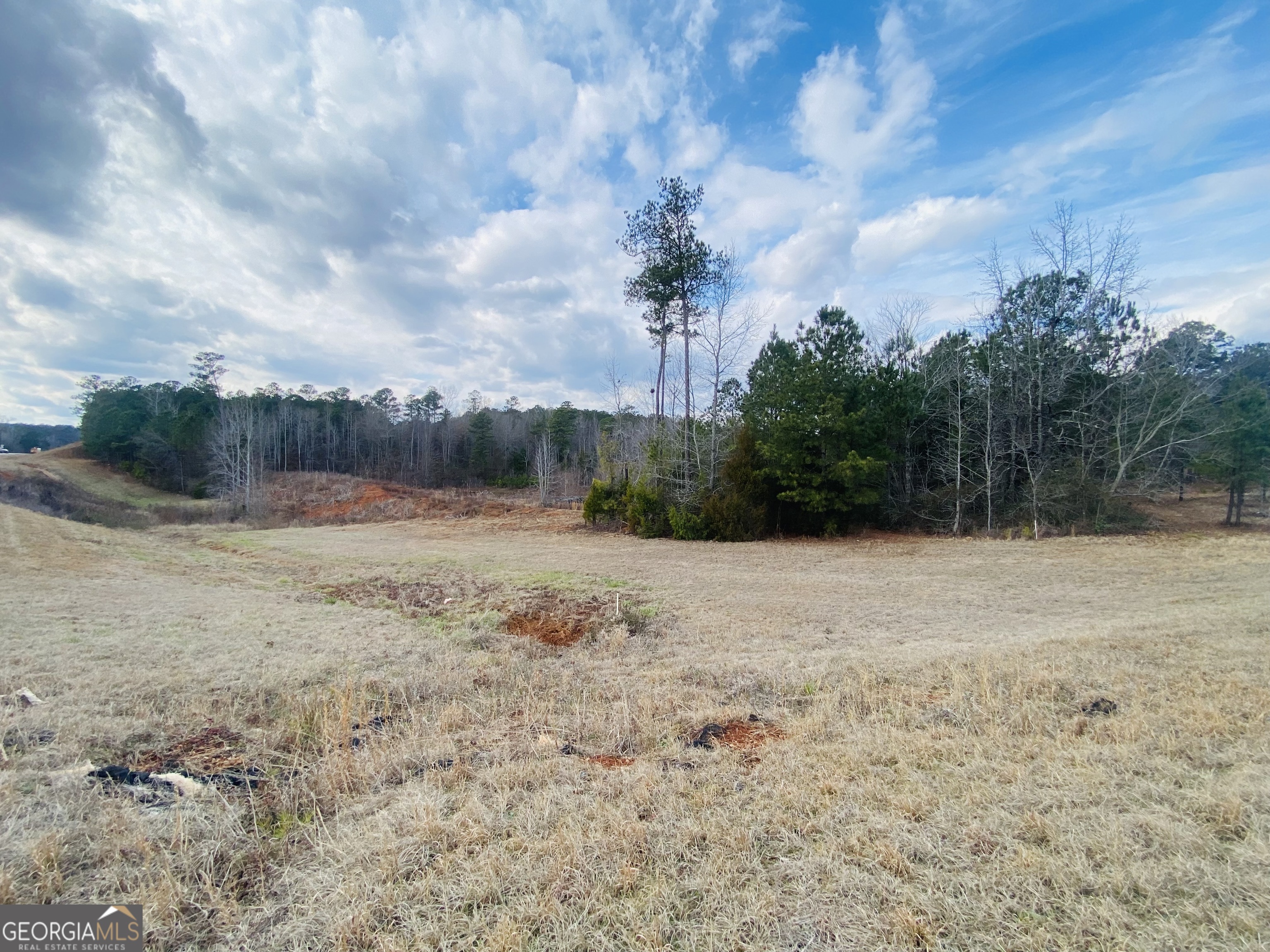 95 Knight Trail Thomaston, GA 30286 - Photo 5 of 14